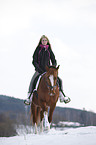 Pony