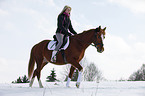 Pony