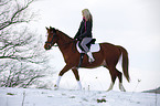 Pony
