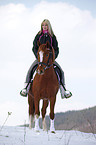 Pony