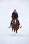Pony