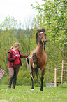 woman and German Riding Pony