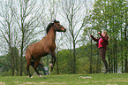 woman and German Riding Pony