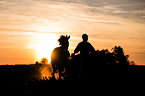 girl and German Riding Pony