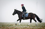 woman rides German Riding Pony