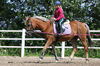 girl rides German Riding Pony