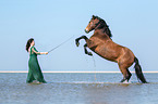 woman and German Riding Pony