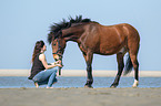 woman and German Riding Pony