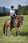young woman rides German Riding Pony