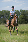 young woman rides German Riding Pony