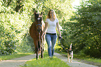 woman and German Riding Pony
