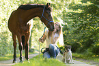 woman and German Riding Pony