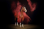 German Riding Pony with holy powder