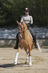 woman rides German Riding Pony