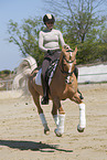 woman rides German Riding Pony