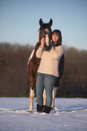 German Riding Pony in winter
