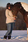 German Riding Pony in winter