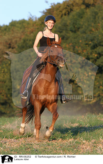 Reiter beim Ausritt / Leisure rider / RR-08252