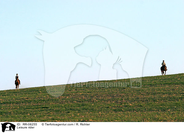 Reiter beim Ausritt / Leisure rider / RR-08255