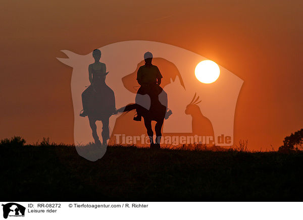 Reiter im Sonnenuntergang / Leisure rider / RR-08272