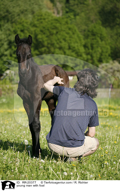 young man with foal / RR-20377