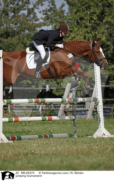 Springprfung / jumping tournament / RR-28375