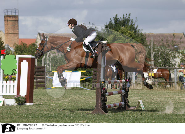 jumping tournament / RR-28377