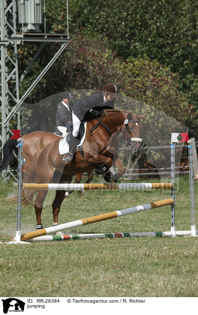 jumping / RR-28384