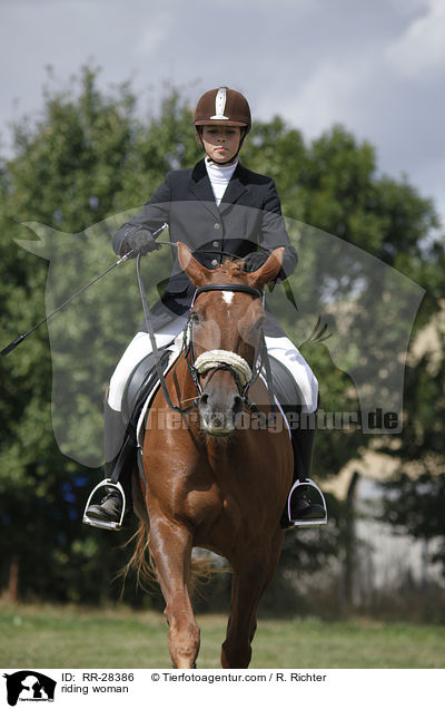 Reiterin auf Deutschem Sportpferd / riding woman / RR-28386