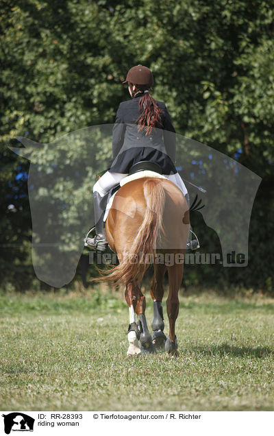 Reiterin auf Deutschem Sportpferd / riding woman / RR-28393