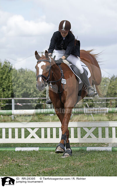 Springprfung / jumping tournament / RR-28395
