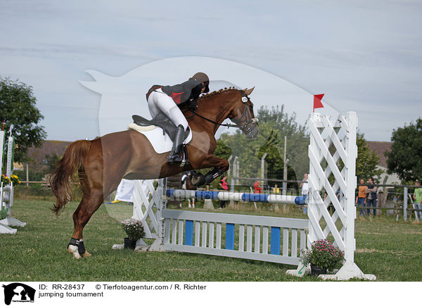 jumping tournament / RR-28437