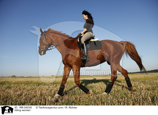 Reiterin / riding woman / RR-39536