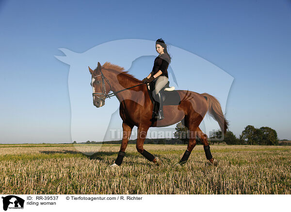 Reiterin / riding woman / RR-39537