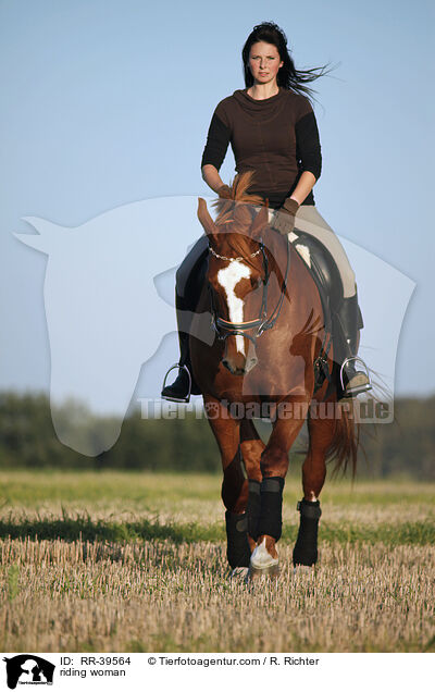 Reiterin / riding woman / RR-39564