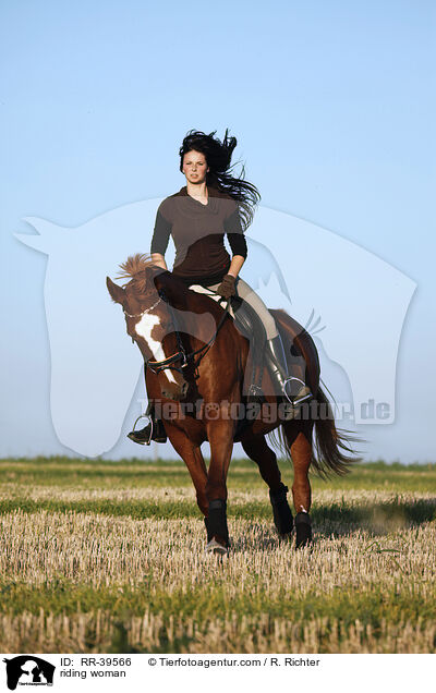 Reiterin / riding woman / RR-39566