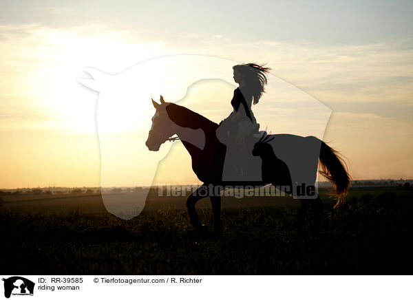 Reiterin / riding woman / RR-39585