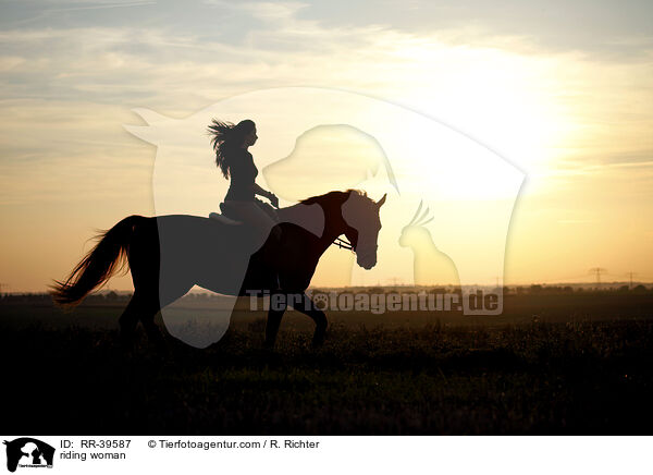 Reiterin / riding woman / RR-39587