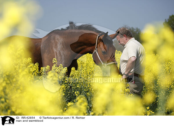 Mann und Deutsches Sportpferd / man and warmblood / RR-42854