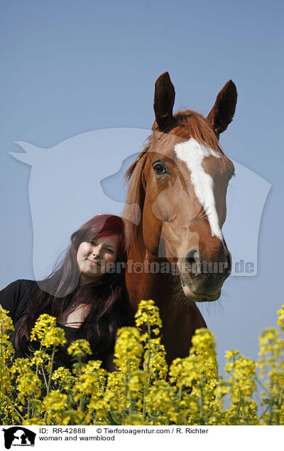Frau und Deutsches Sportpferd / woman and warmblood / RR-42888