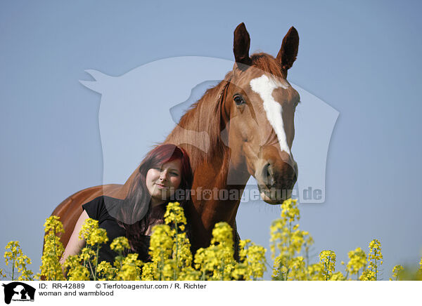 Frau und Deutsches Sportpferd / woman and warmblood / RR-42889