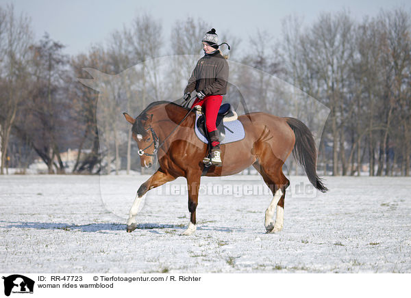 Frau reitet Deutsches Sportpferd / woman rides warmblood / RR-47723