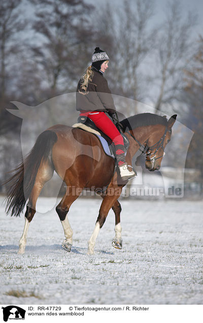 Frau reitet Deutsches Sportpferd / woman rides warmblood / RR-47729