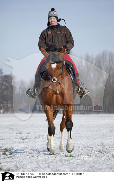 Frau reitet Deutsches Sportpferd / woman rides warmblood / RR-47732