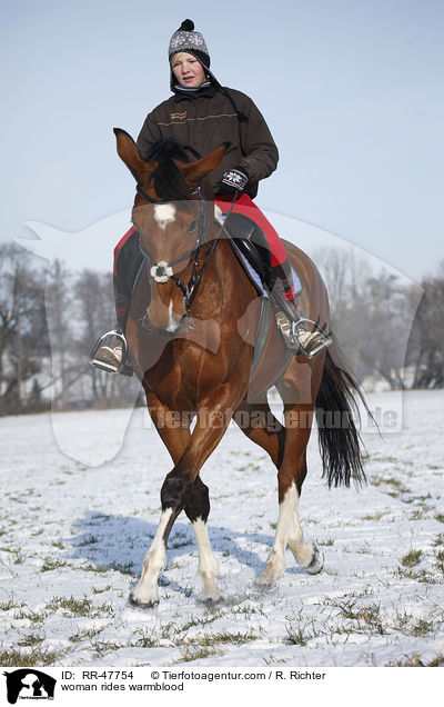 Frau reitet Deutsches Sportpferd / woman rides warmblood / RR-47754