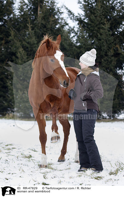 Frau mit Deutschem Sportpferd / woman and warmblood / RR-47829