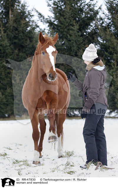 Frau mit Deutschem Sportpferd / woman and warmblood / RR-47830
