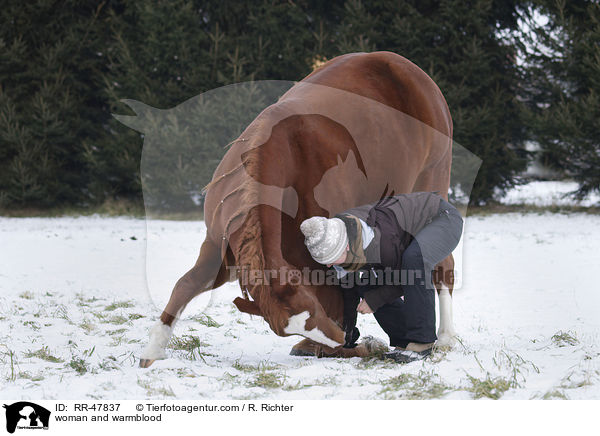 Frau mit Deutschem Sportpferd / woman and warmblood / RR-47837