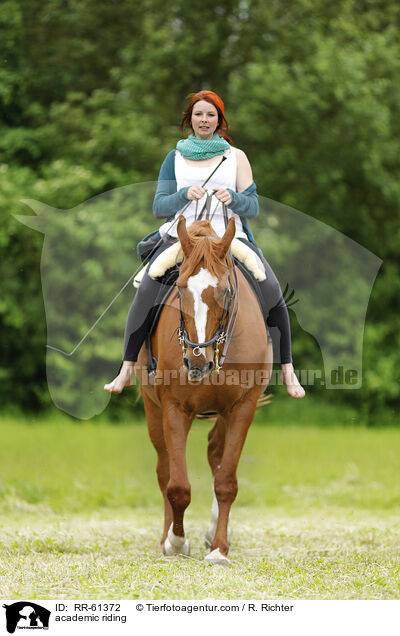 academic riding / RR-61372