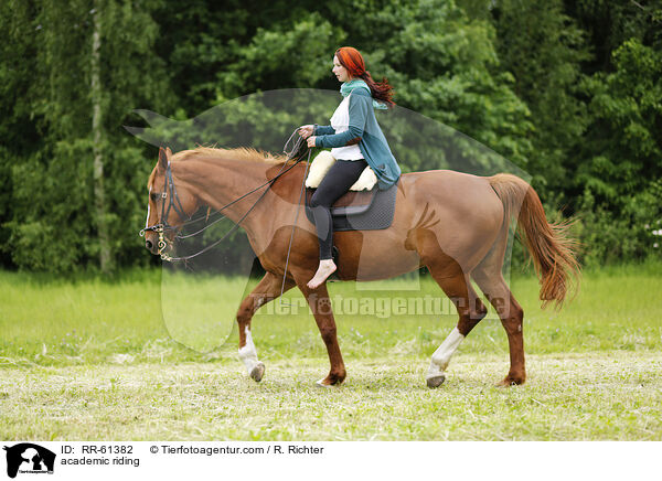 academic riding / RR-61382
